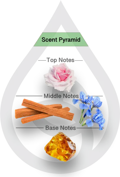 Scent Pyramid for Sandalwood Musc Clean Fragrance
