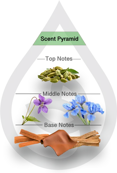 Scent Pyramid for Santal Type Fragrance P2