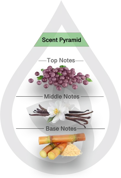 Scent Pyramid for Santiago Huckleberry Type CF