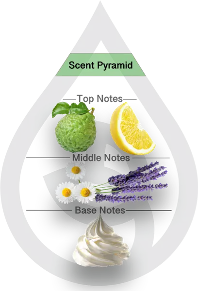 Scent Pyramid for Snuggly Laundry Clean Fragrance