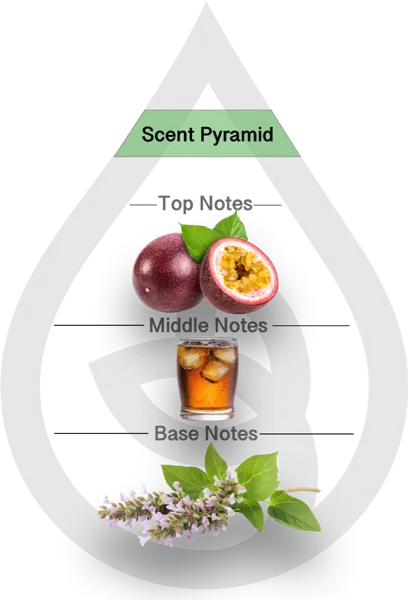 Scent Pyramid for Soft Serenity Clean Fragrance