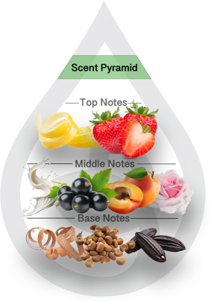 Scent Pyramid for Strawberry Clean Fragrance