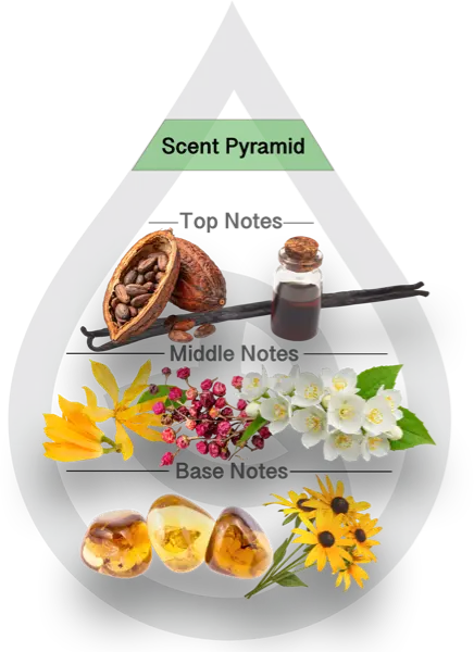 Scent Pyramid for Sugared Suede Clean Fragrance