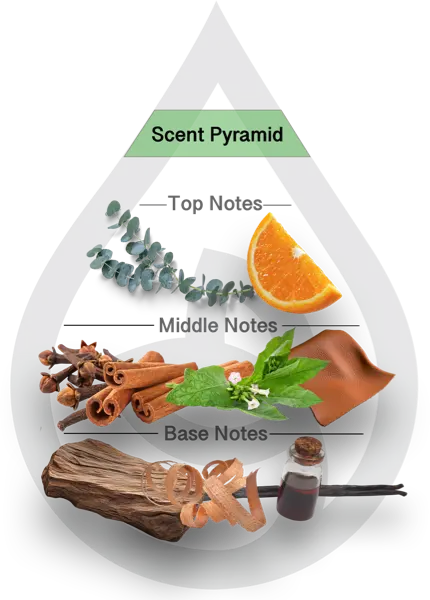 Scent Pyramid for Tobacco Teak Clean Fragrance
