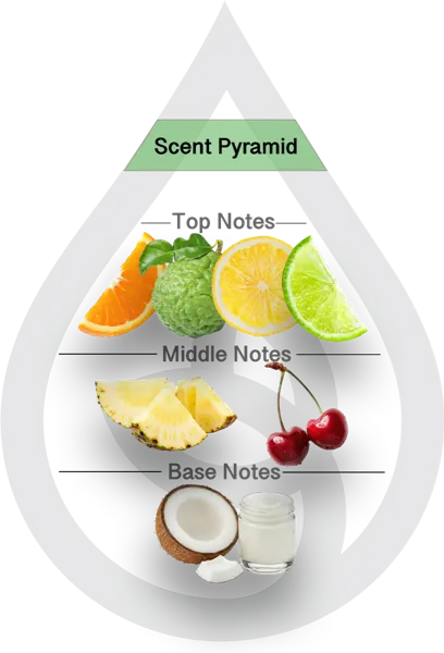 Scent Pyramid for Tropic Like it's Hot Clean Fragrance