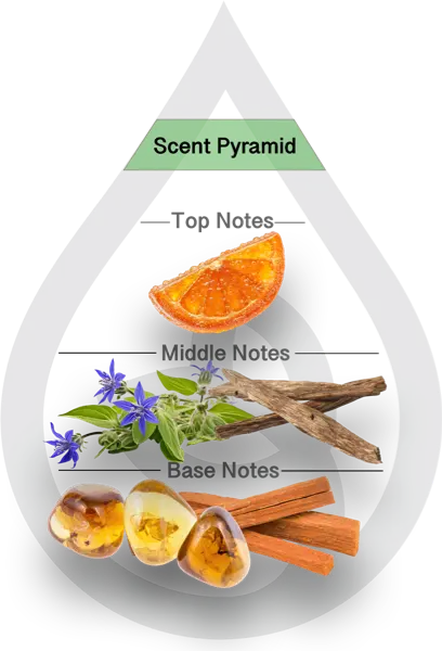Scent Pyramid for To the Moon Clean Fragrance