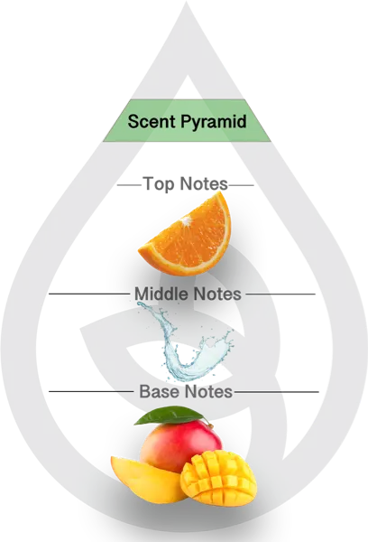 Scent Pyramid for Twilight Citrus Clean Fragrance