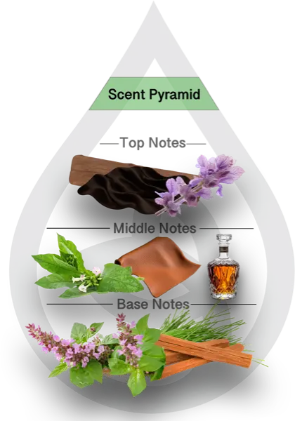 Scent Pyramid for Velvet Noir Clean Fragrance