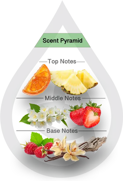 Scent Pyramid for Volcano Clean Fragrance-Capri Blue Type