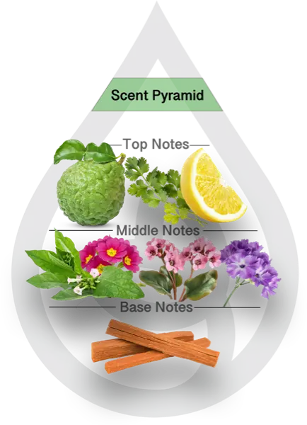 Scent Pyramid for Walk in the Woods Clean Fragrance