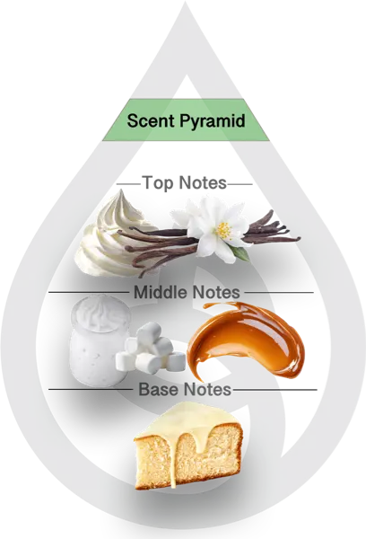 Scent Pyramid for Whipped Vanilla Clean Fragrance