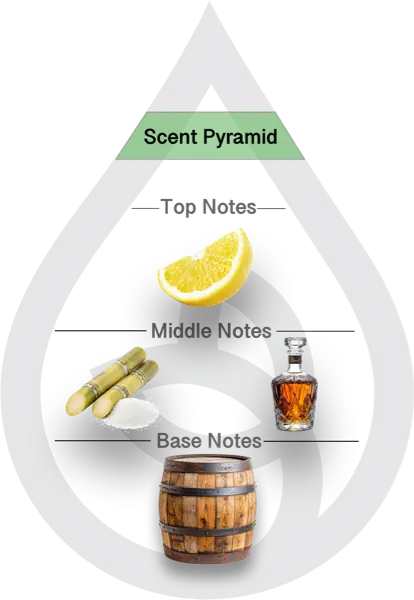 Scent Pyramid for Whiskey Sour Clean Fragrance