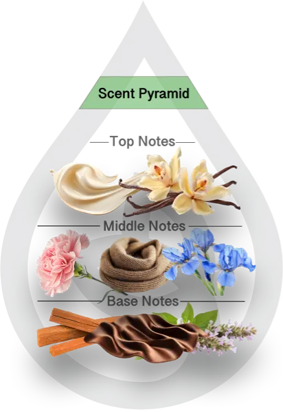 Scent Pyramid for Warm Luxe Cashmere Type CF V2