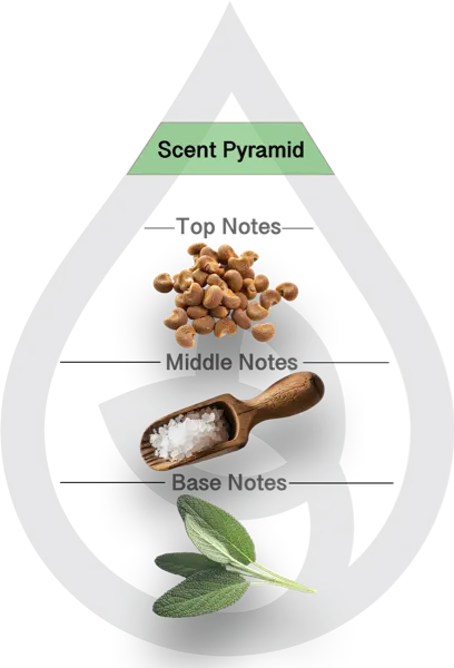 Scent Pyramid for Wood Sage & Salt Clean Fragrance
