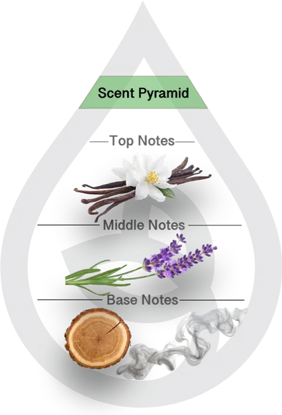Scent Pyramid for Woodland Whispers Clean Fragrance