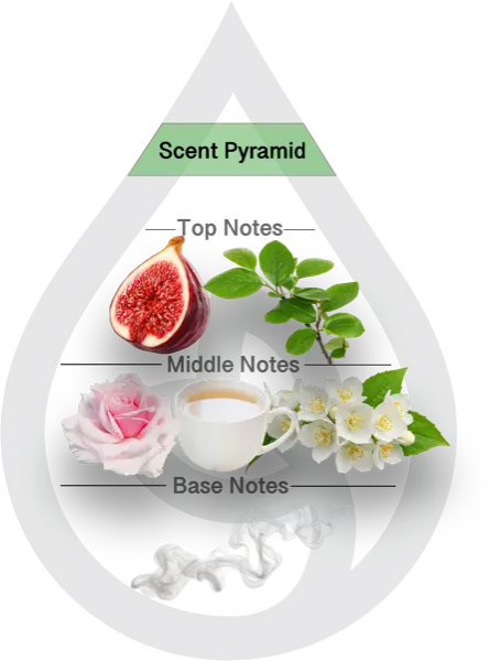 Scent Pyramid for White Tea Fig Clean Fragrance