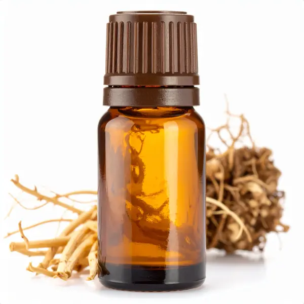 Angelica Root EO - Essential Oils