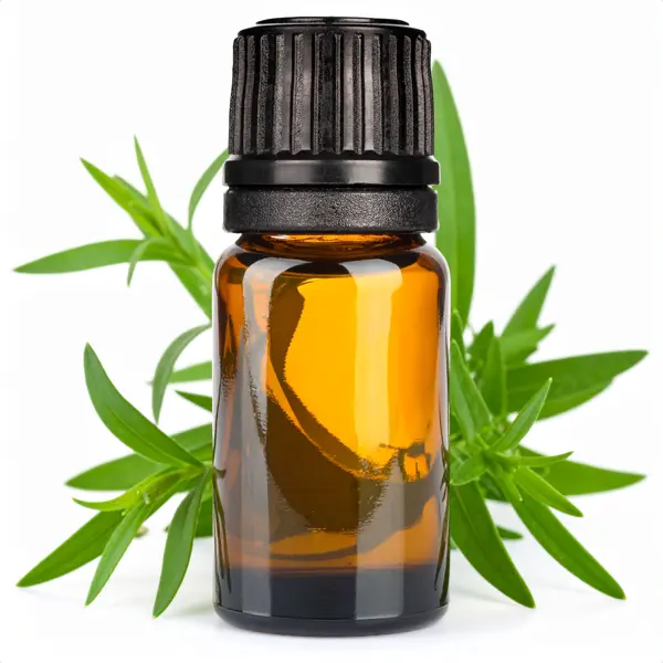 Tarragon Oil, USA - Essential Oils