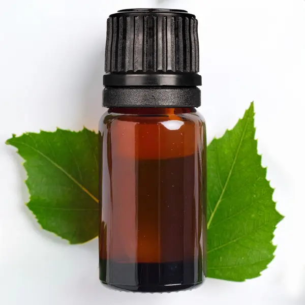 Sweet Birch EO, Adirondack, P&N - Essential Oils
