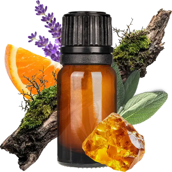 Amber Moss Clean Fragrance