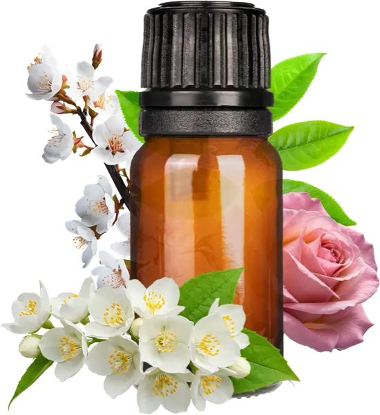 English Tea Rose Clean Fragrance