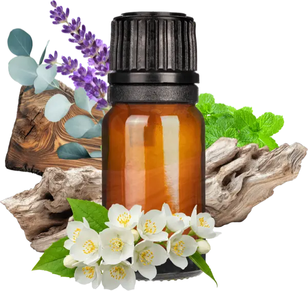 Soap & Shine Clean Fragrance