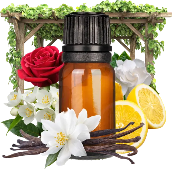 Terrace Garden Clean Fragrance - Discounts