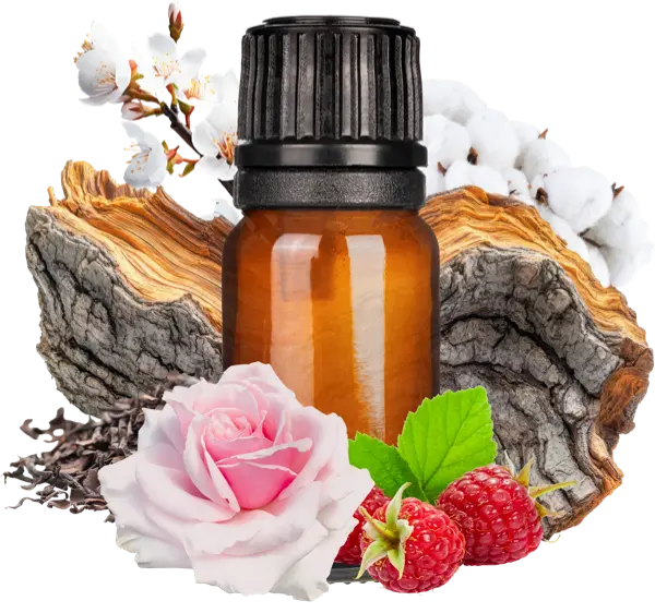 Crystal Cove Clean Fragrance