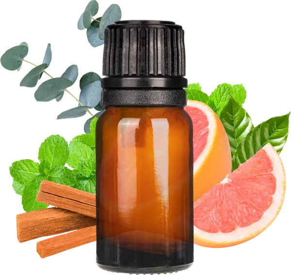 Emerald Bay Clean Fragrance