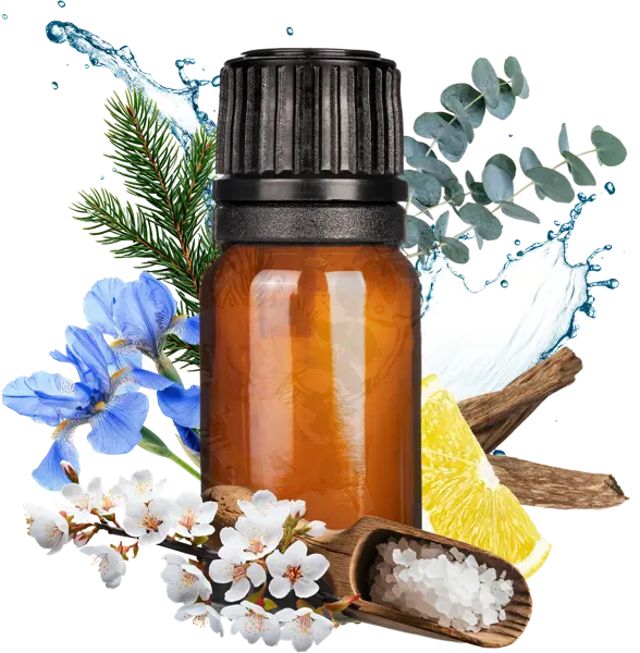 Fir Needle Falls Clean Fragrance - Fragrances