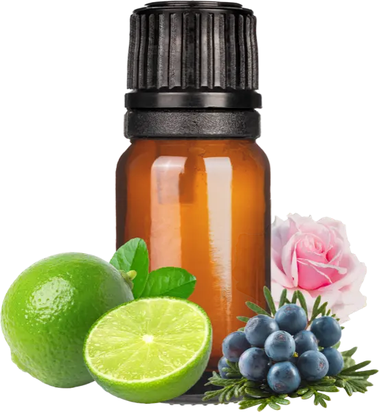 Gin & Tonic Clean Fragrance