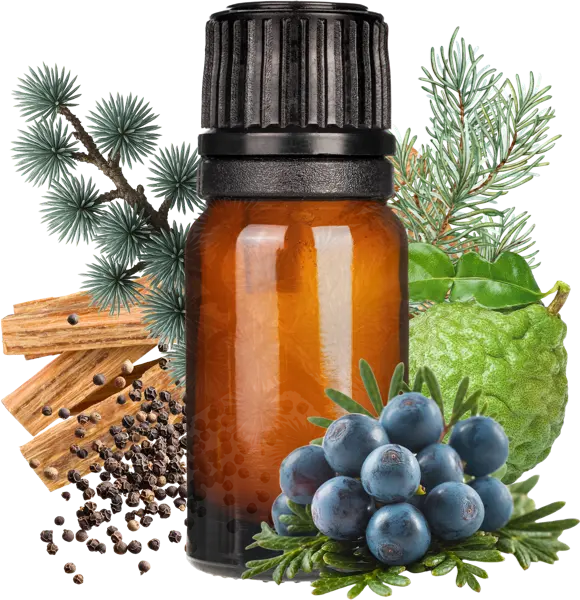 Hero Burberry Type Clean Fragrance