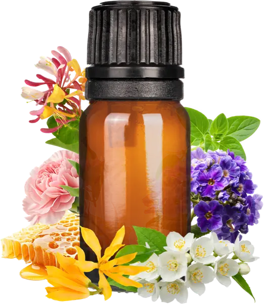 Honeysuckle Clean Fragrance - Discounts