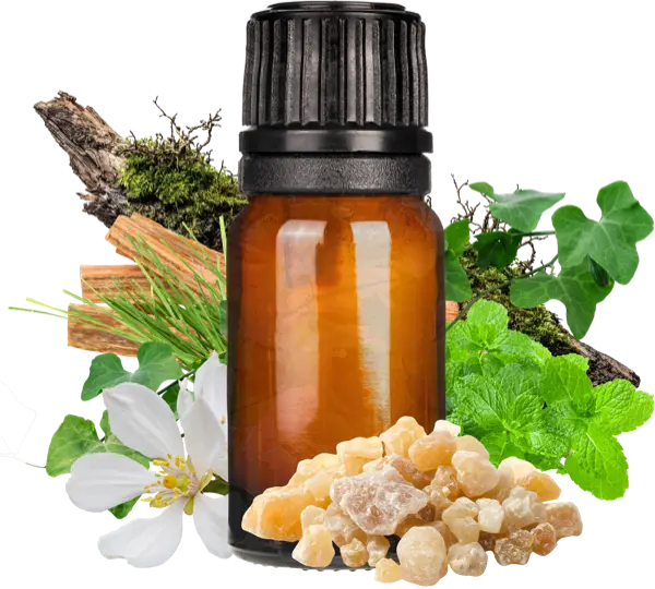 Ivy & Gold Clean Fragrance