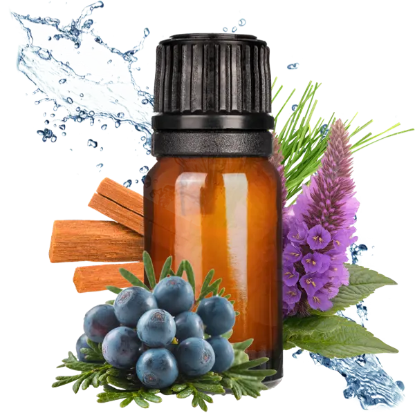 Laundered Luxury Clean Fragrance