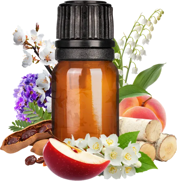 Love Spell Clean Fragrance