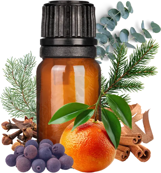 Rocky Mountain Christmas CF