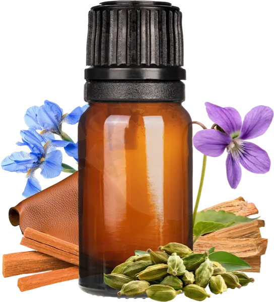 Santal Type Fragrance P2