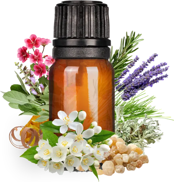 Silver Sylva Clean Fragrance