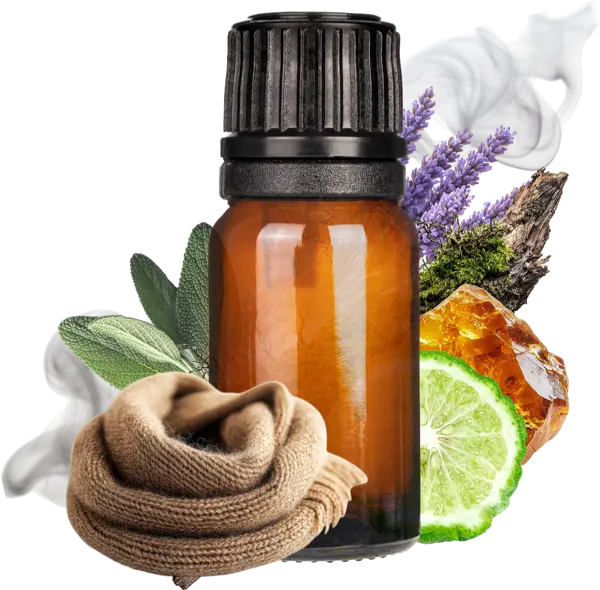 Velvet Musk Clean Fragrance