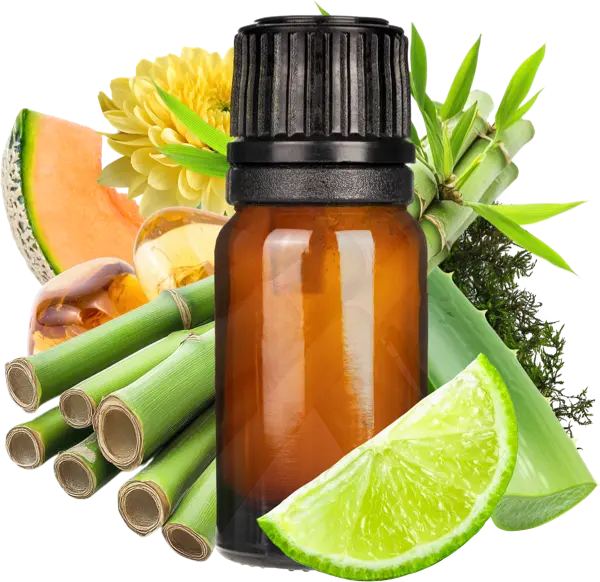 Himalayan Bamboo Clean Fragrance