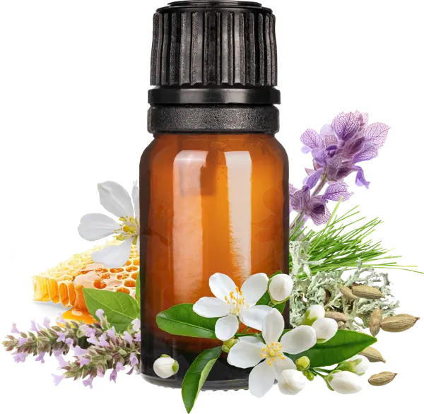 Orange Blossom & Oakmoss V2 CF