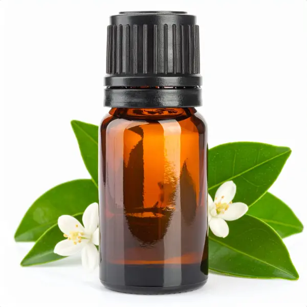 Camphor EO White - Essential Oils