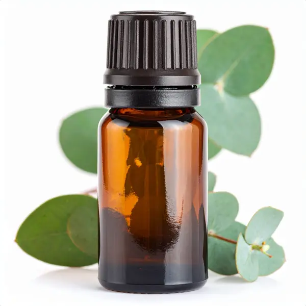 NOP Eucalyptus EO radiata - Essential Oils