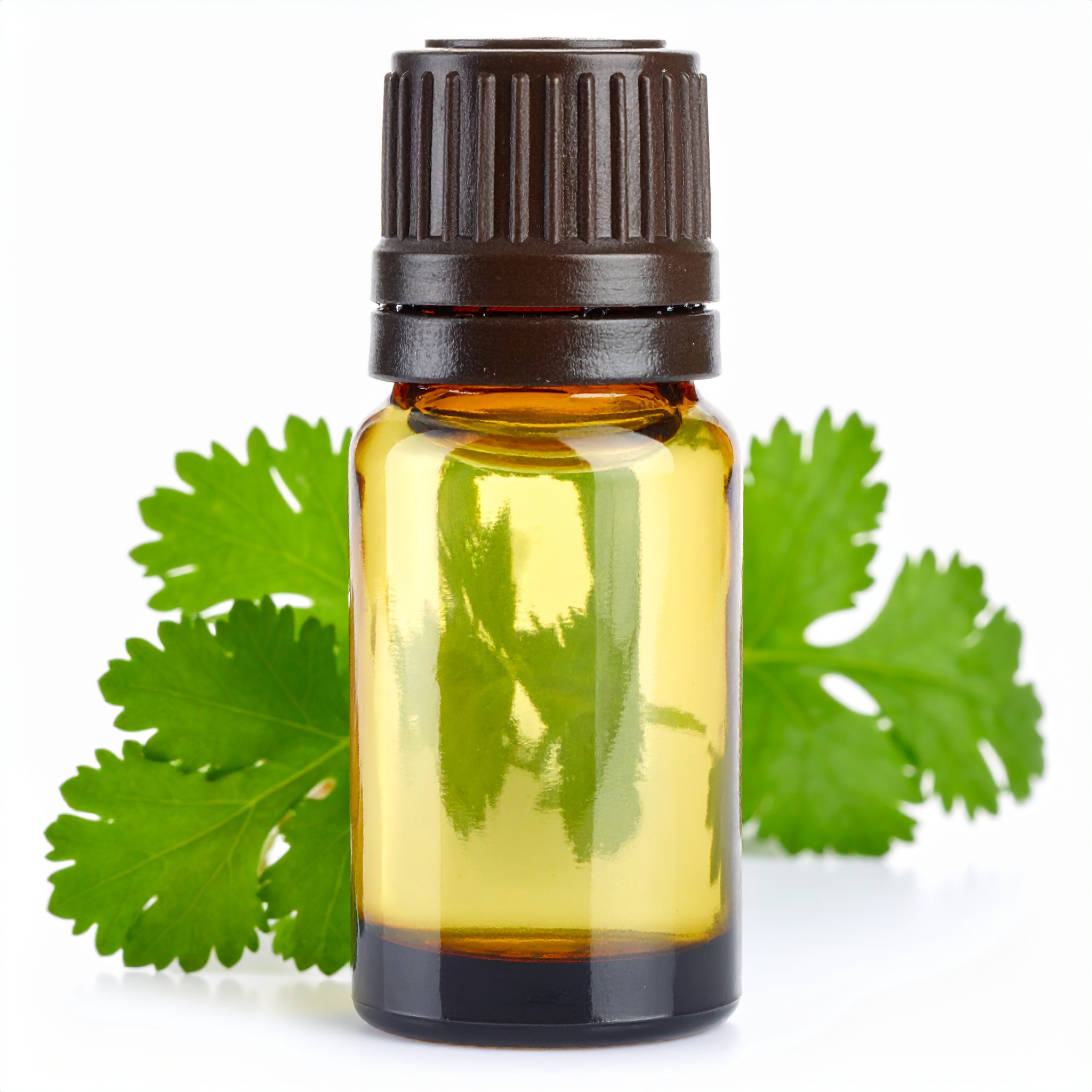 Cilantro (Coriander Leaf) EO