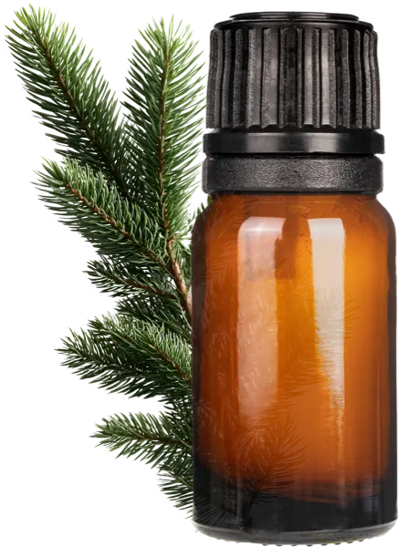 Arbor Sap EO Blend - Essential Oils