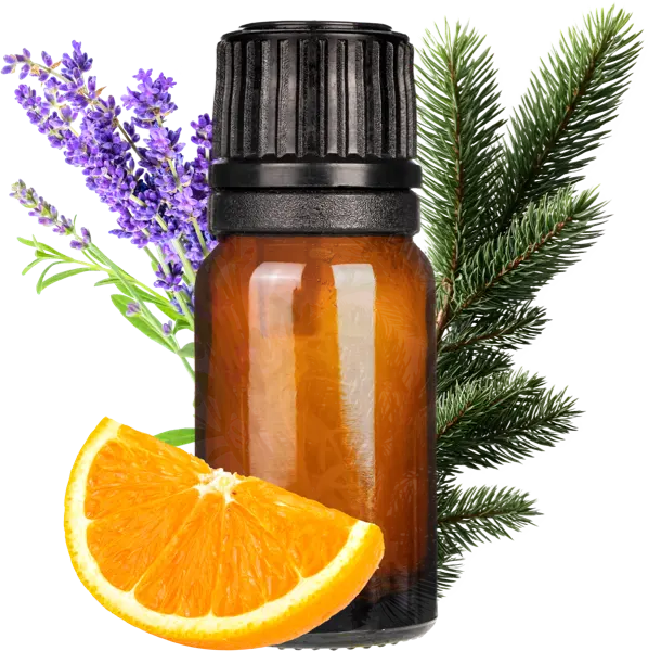 Forest Meadow EO Blend