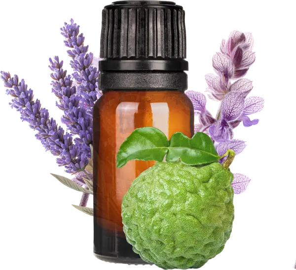 Crisp Autumn Morning EO Blend - Fall Winter 10