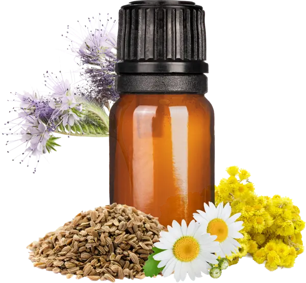 Deep Blue Healing EO Blend - Essential Oils