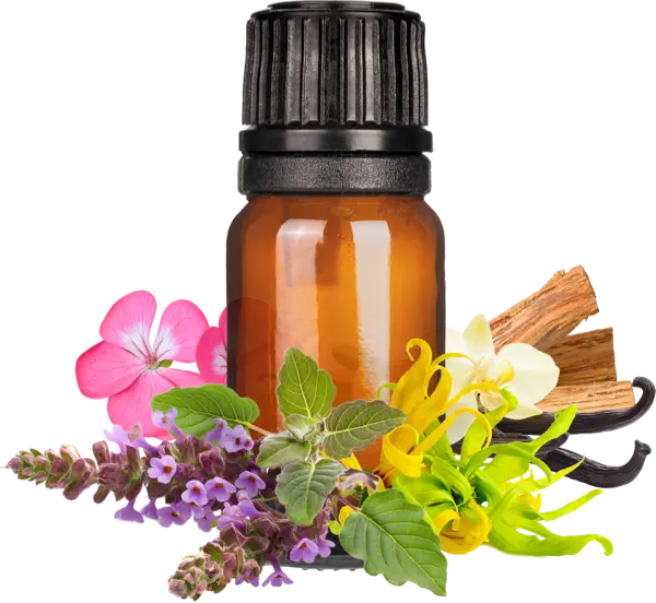 DEET Buster EO Blend - Essential Oils